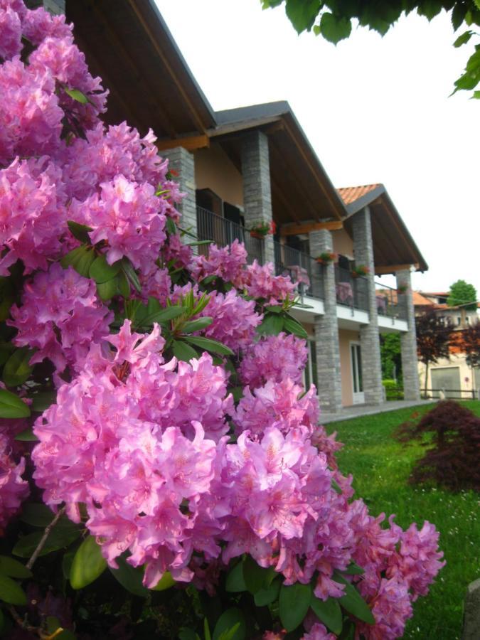 Garni Viggiona Hotel Trarego Eksteriør billede